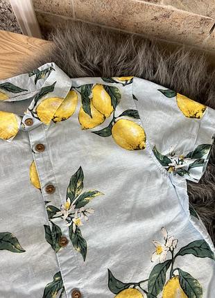 Теніска в лимони 2