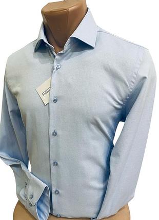 Чоловіча блакитна сорочка від limitless