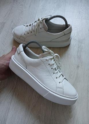 Жіночі кросівки кеди clarks оригінал шкіра.