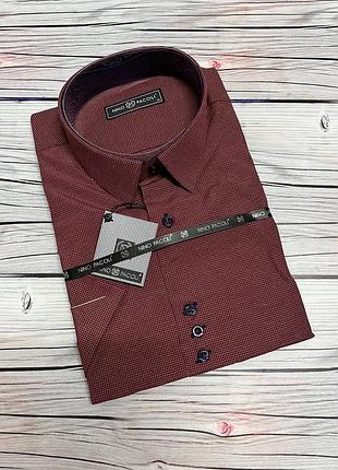 Чоловічі сорочки 🇹🇷 короткий рукав