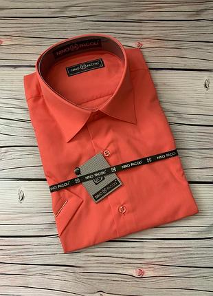 Чоловіча сорочка 🇹🇷 короткий рукав