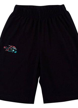 Шорти the north face
