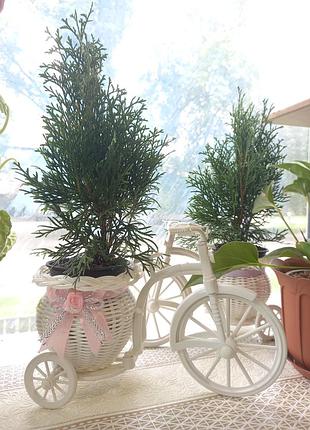 Кашпо для квітів велосипед 3