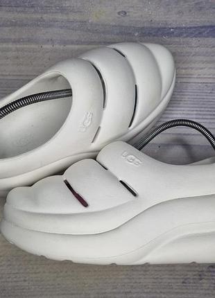 Шлепанцы аквашузы ugg