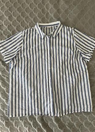 Чоловіча сорочка л