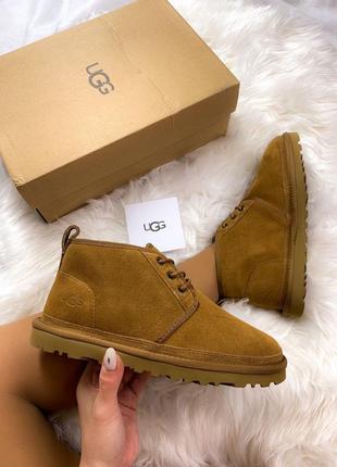 Черевики жіночі уггі ugg neumel