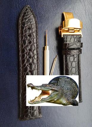 Ремінець для годинника з натуральної шкіри крокодила, з крокодилової шкіри
