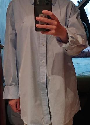 Ralph lauren рубашка мужская унисекс