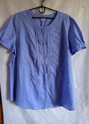 Блуза батал бавовна