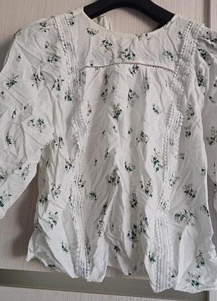 Блуща лен на 14 2