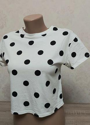 Футболка у горох вкорочена