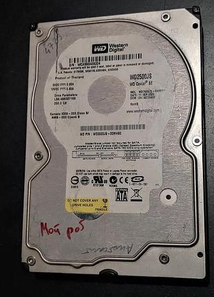 Жесткий диск sataii для компьютера western digital caviar se 3.5 8mb 7200rpm 3gbs wd2500js 250гб