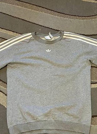 Світло-сіра кофта, світшот adidas з нелойновими лампасами