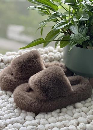 Пухнасті тапулі