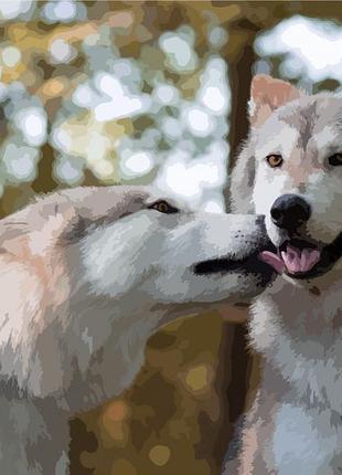 ✨ картина за номерами 🎨 тварини, вовки 🎨 art craft "більше ніж дружба" 40*50 см 11605-ac 🎨 від stop stress