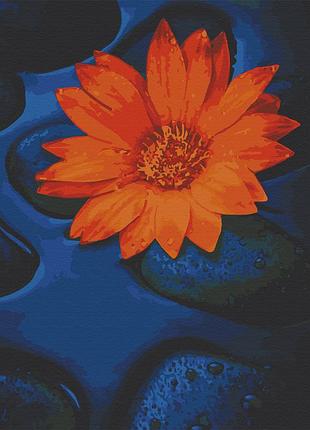 ✨ картина за номерами 🎨 квіти, букети 🎨 art craft "квітка лотоса" 40х50 см 13124-ac 🎨 від stop stress