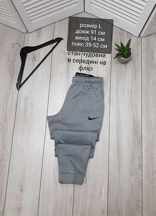 Чоловічі спортивні штани paul nike