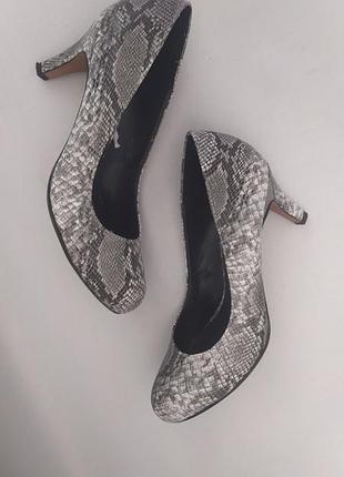 Туфлі жіночі