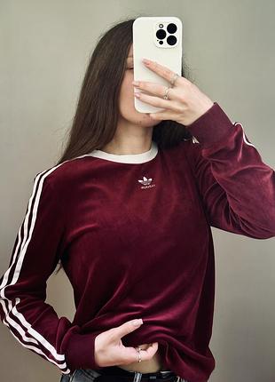 Adidas світшот 2