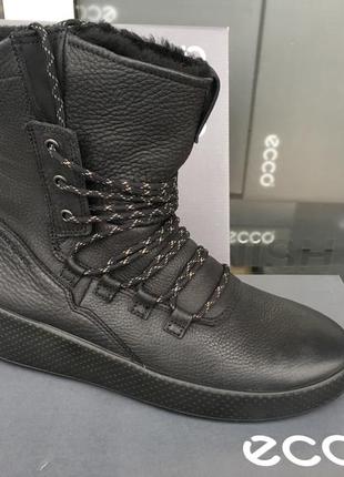 Сапоги женские зимние  ecco ukiuk  221053 02001