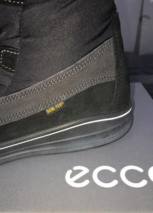 ecco neela 726023 55977 2500