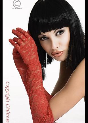 3071 gloria lace gloves chilirose красные длинные перчатки из кружева