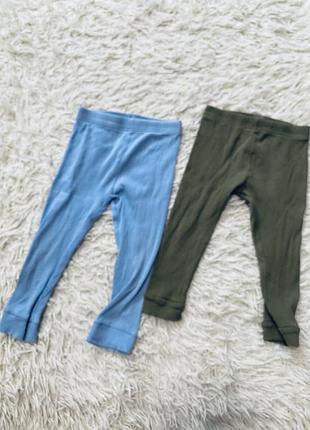 Лосини в рубчик