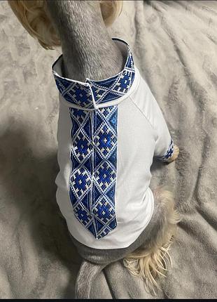 Стильні вишиванки