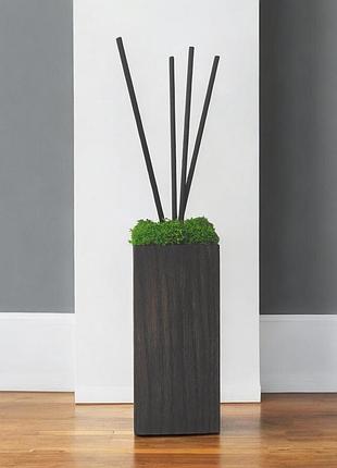 "ветивер" 100мл в деревянном аромадиффузоре со стабилизированным мхом в подарочной коробке homeinc