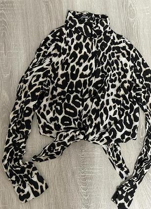 Леопардова літня рубашка 2