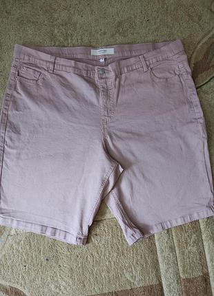 Шорти джинсові, великий розмір