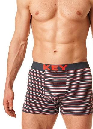 Трусы шорты кей боксерки мужские key mxh