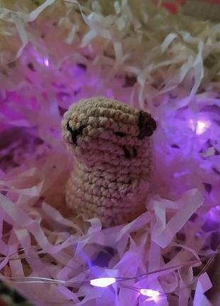 Мини капибара