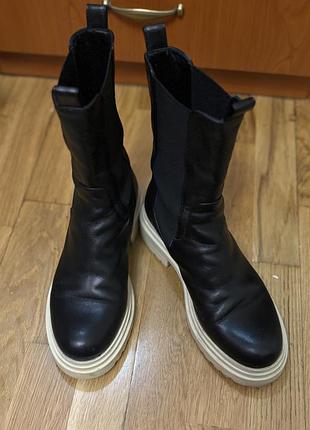 Ботфорти kachorovska