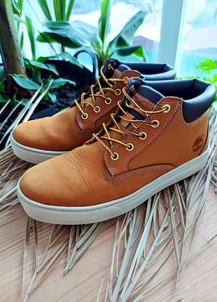 Чоловічі снікери  timberland men's groveton chukka sneakers