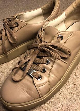 Кеди жіночі 37