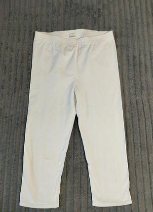 Бриджі трикотажні