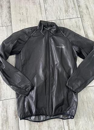 Вітровка чоловіча