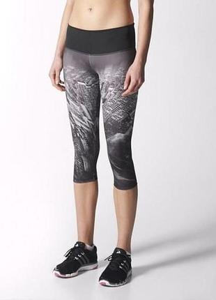 Лосіни adidas