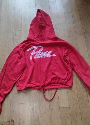 Укорочений худі puma з капюшоном