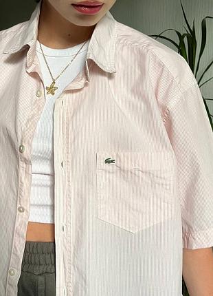 Сорочка lacoste