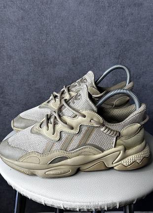 Кросівки adidas overdo