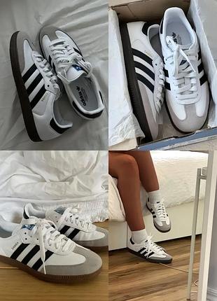 Кросівки adidas samba