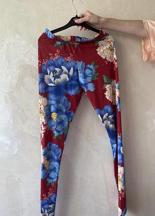 Лосини жіночі