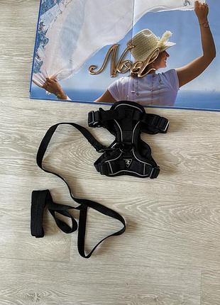 Черная шлейка для маленьких собак