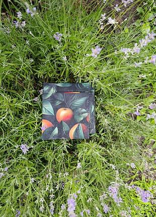 Набір вощанок 3 шт.