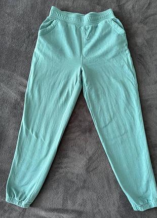 Спортивные штаны goldi с небольшим утеплением