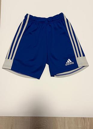 Шорти adidas