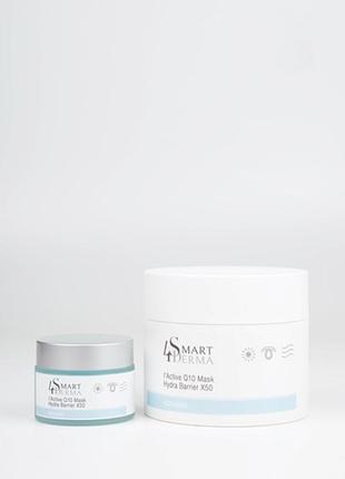 Active q10 mask hydra barrier x50