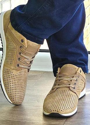 Чоловічі кросівки  із перфорованого нубуку